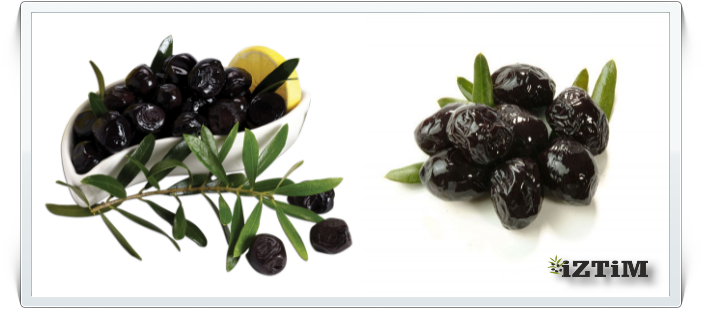 İznik Zeytin Ticaret Merkezi