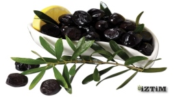 İznik Zeytin Ticaret Merkezi