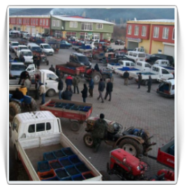 İznik Zeytin Ticaret Merkezi